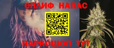 гашик Гатчина