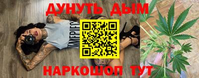 гашик Гатчина
