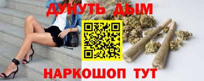 гашик Гатчина