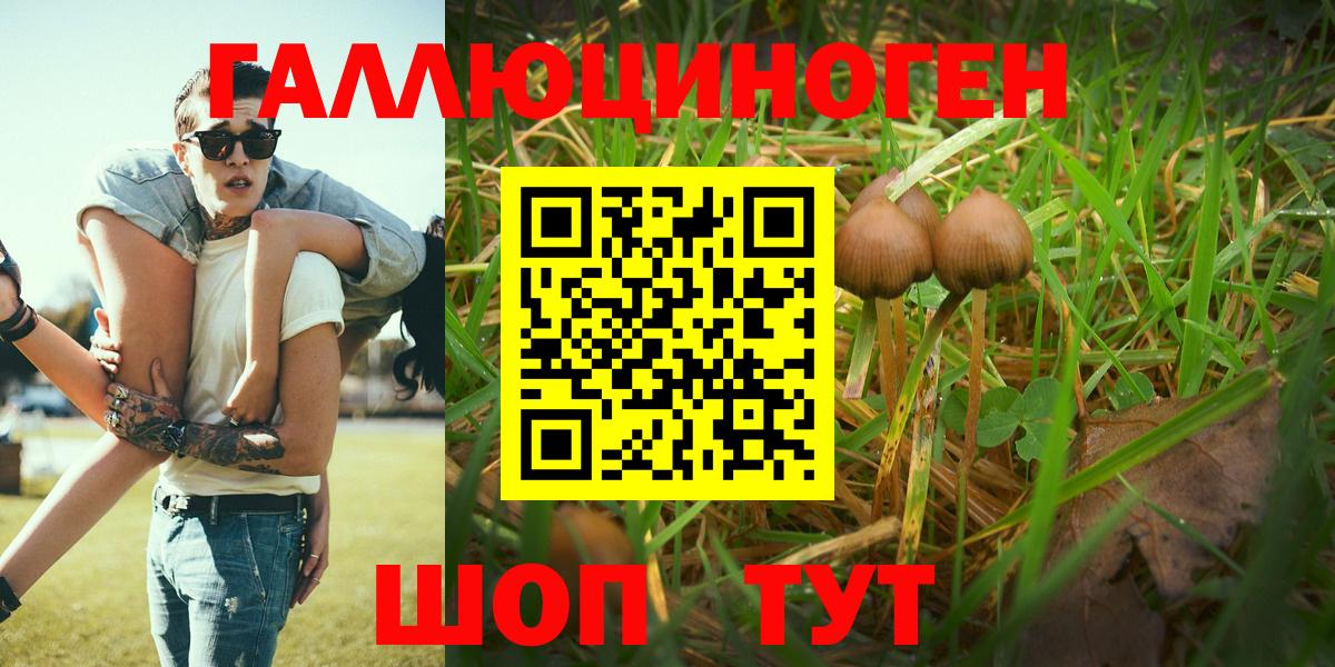 Галлюциногенные грибы MAGIC MUSHROOMS Нефтекамск